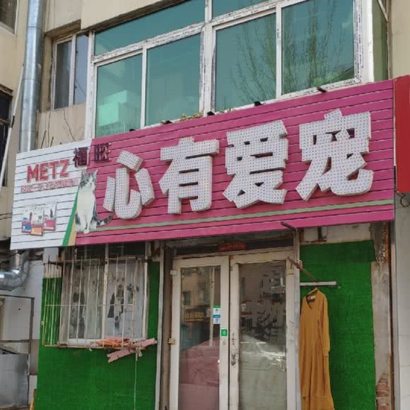 心有爱宠:沈阳市大东区吉祥市场附近
