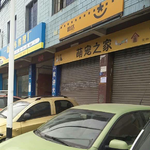 萌宠之家:成都市双流区