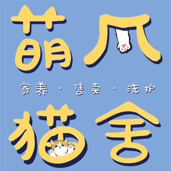 萌爪活体猫舍(华阳店):成都市双流区