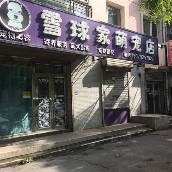 雪球家萌宠店:沈阳市大东区吉祥市场附近