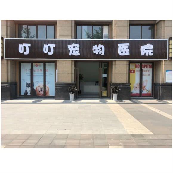 叮叮宠物医院:成都市双流区