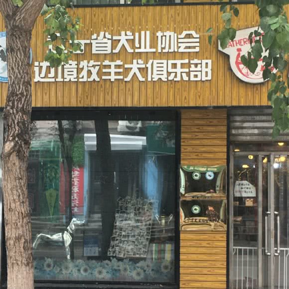 辽宁省犬业协会:沈阳市大东区吉祥市场附近