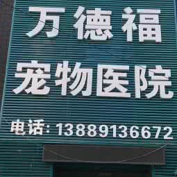万德福宠物医院:沈阳市大东区吉祥市场附近