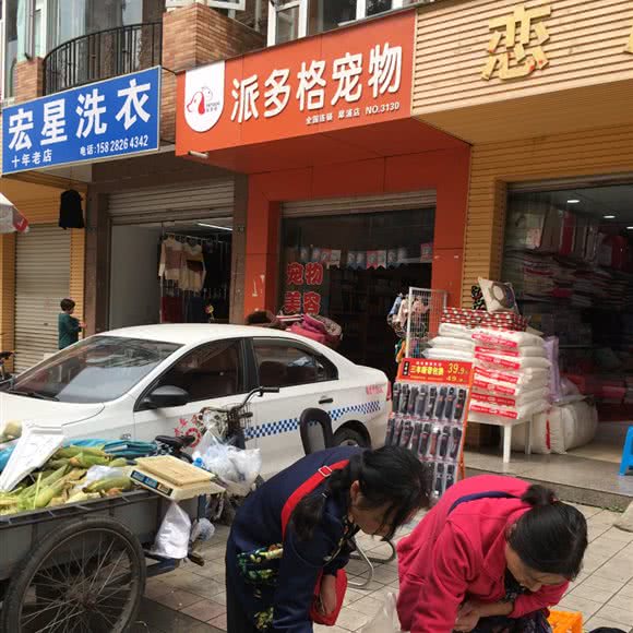 犀浦派多格宠物:成都市郫都区