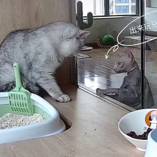 三万解忧馆:成都市郫都区