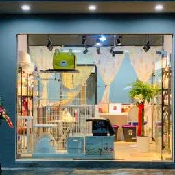 大主子宠物生活馆:成都市郫都区