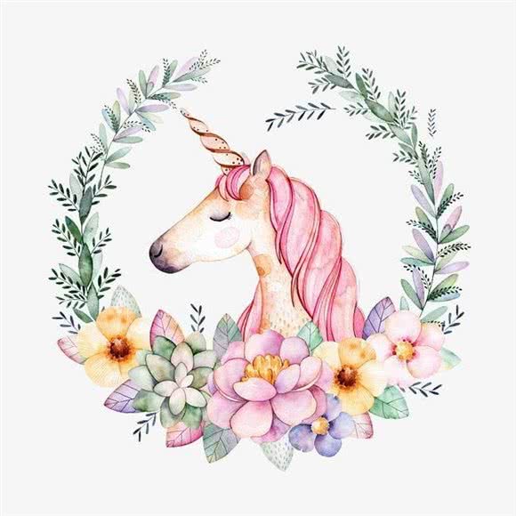 尤尼宠物(猫咪繁育):成都市郫都区