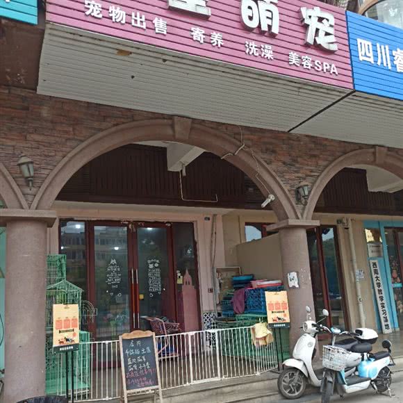异星萌宠:成都市郫都区