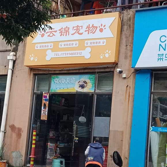 云锦宠物:成都市郫都区