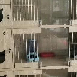 萌宠之余家:成都市郫都区