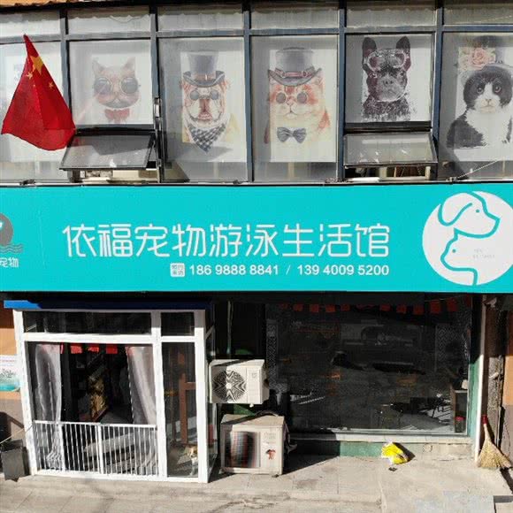 依福宠物游泳生活馆:沈阳市大东区大东路/东塔附近