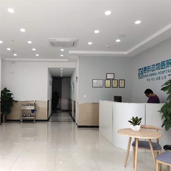 恩科动物医院(郫都红光龙城国际店):成都市郫都区