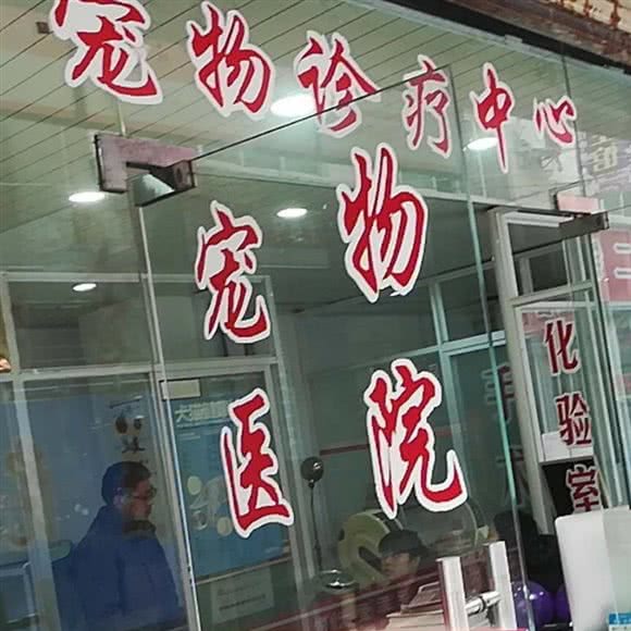 乖乖爱犬堂宠物诊所:成都市郫都区