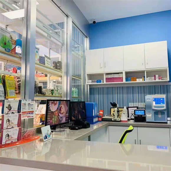 爱美森宠物诊所(郫县店):成都市郫都区