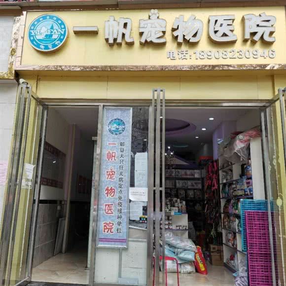 一帆动物医院:成都市郫都区