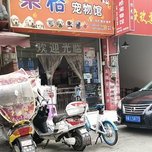 朵格宠物馆:成都市新津区
