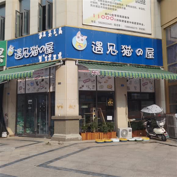 金堂遇见猫屋:成都市金堂县