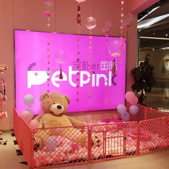 宠粉er国际(中粮广场店):沈阳市皇姑区北陵附近