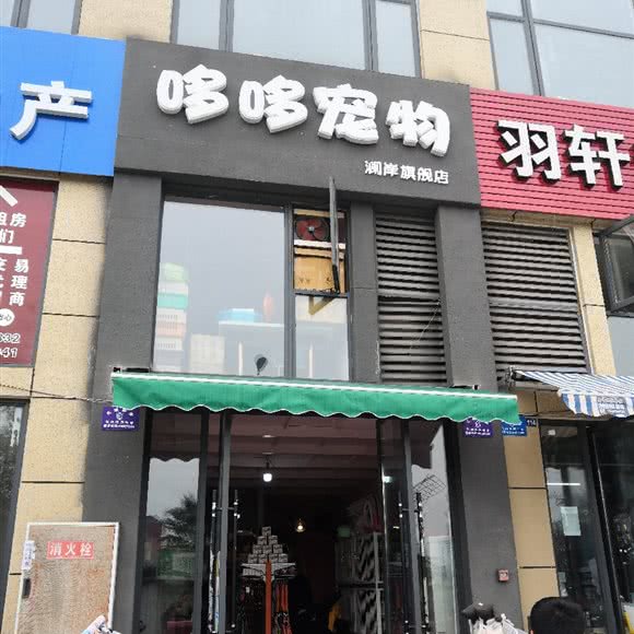 哆哆宠物(澜岸旗舰店):成都市金堂县