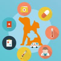 派美特宠物医院:沈阳市皇姑区北陵附近