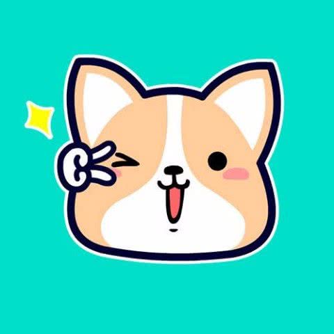 宠爱有家宠物（售犬猫活体）(金堂店):成都市金堂县