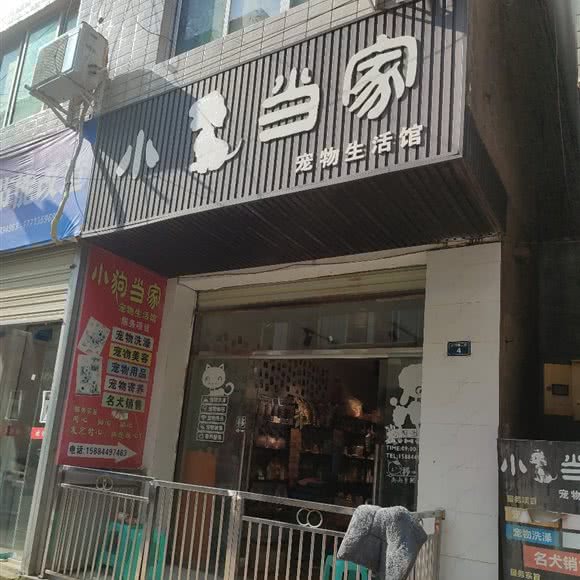 小狗当家宠物生活馆(沙河横二街店):成都市金堂县