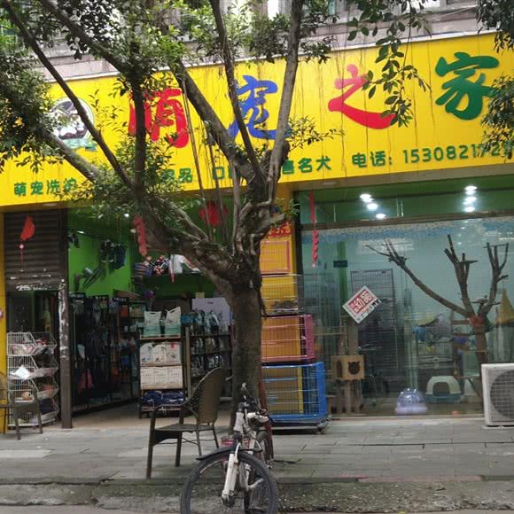 萌宠之家:成都市大邑县