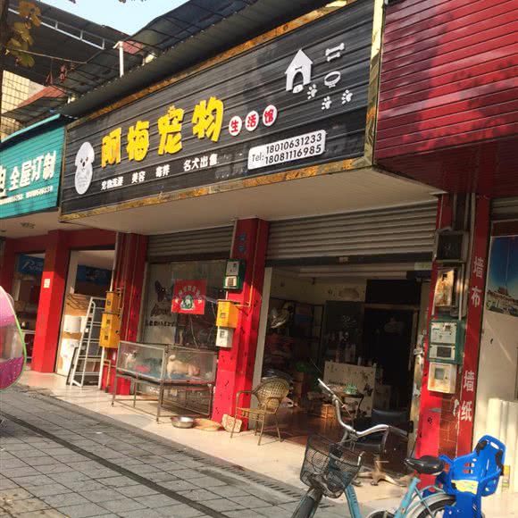阿梅宠物生活馆:成都市大邑县