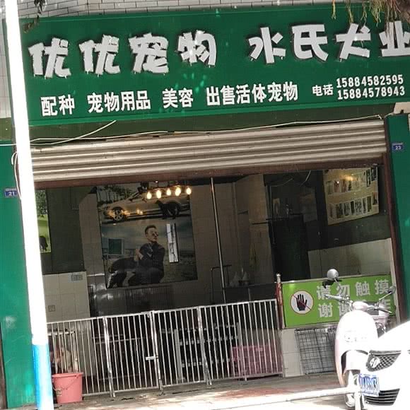 优优宠物水氏犬业:成都市大邑县