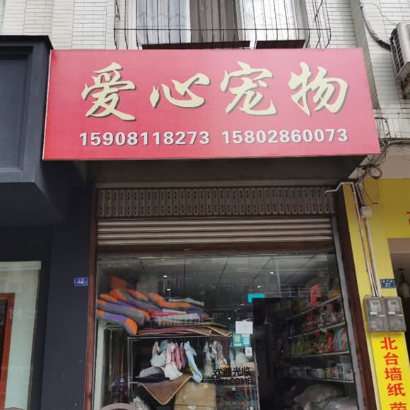 爱心宠物:成都市蒲江县