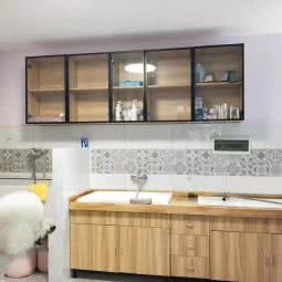 猫馆宠物生活馆:成都市蒲江县