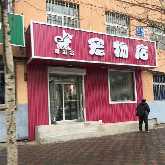 可爱它宠物店:沈阳市皇姑区北行/辽大附近