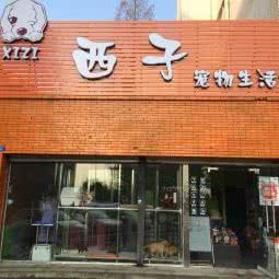 西子宠物生活馆:成都市都江堰市
