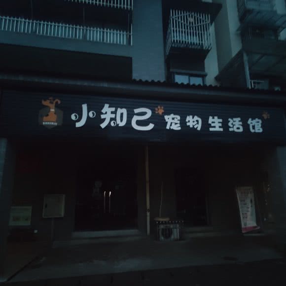 小知己宠物生活馆:成都市都江堰市