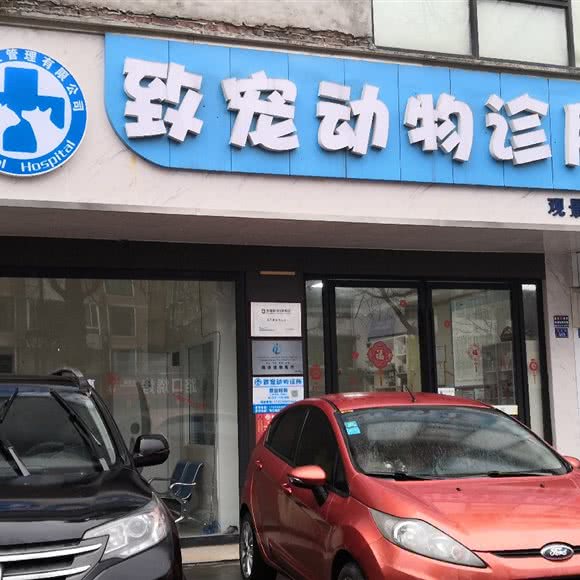 致宠动物诊所(观景路店):成都市都江堰市