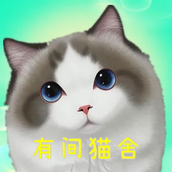 有间宠物猫舍:沈阳市皇姑区北行/辽大附近