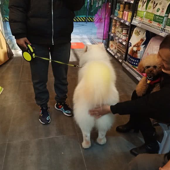 萌芝宠:成都市彭州市