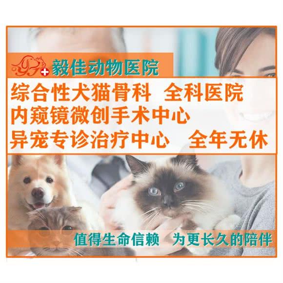 毅佳动物医院(皇姑店):沈阳市皇姑区北行/辽大附近