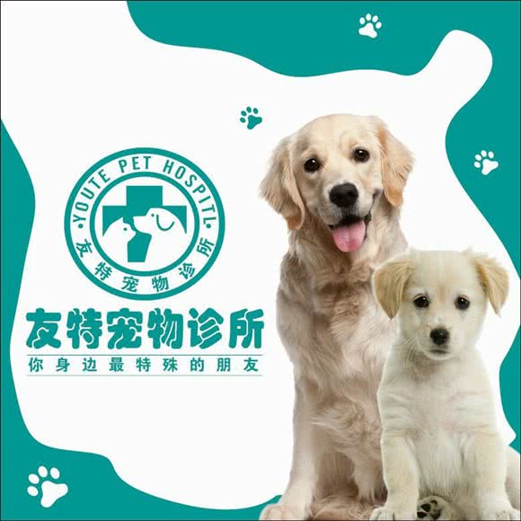 友特宠物诊所:成都市简阳市