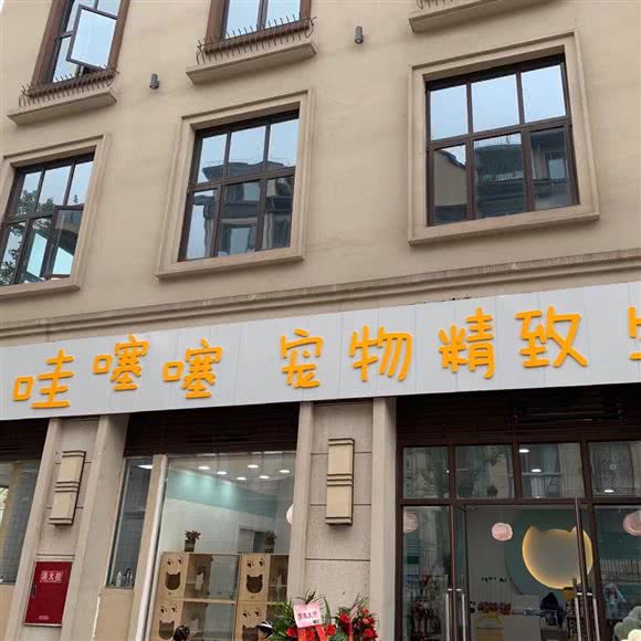 哇噻噻宠物精致生活馆:自贡市自流井区