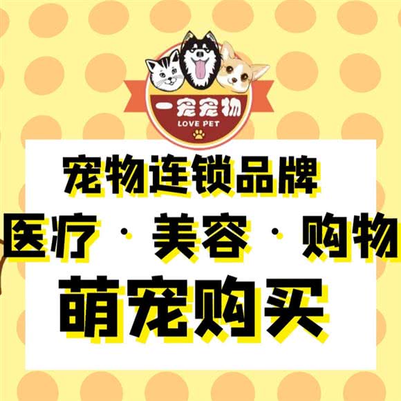 一宠宠物医疗(沿滩新城店):自贡市沿滩区