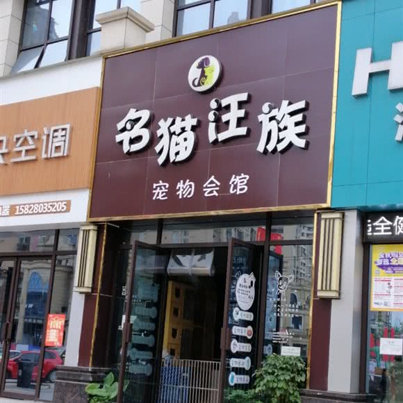 名猫汪族宠物会馆:自贡市富顺县