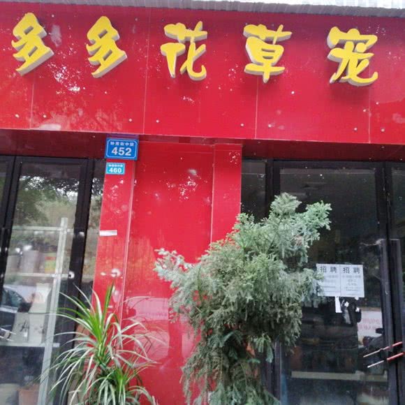 喜多多花草宠屋:自贡市富顺县