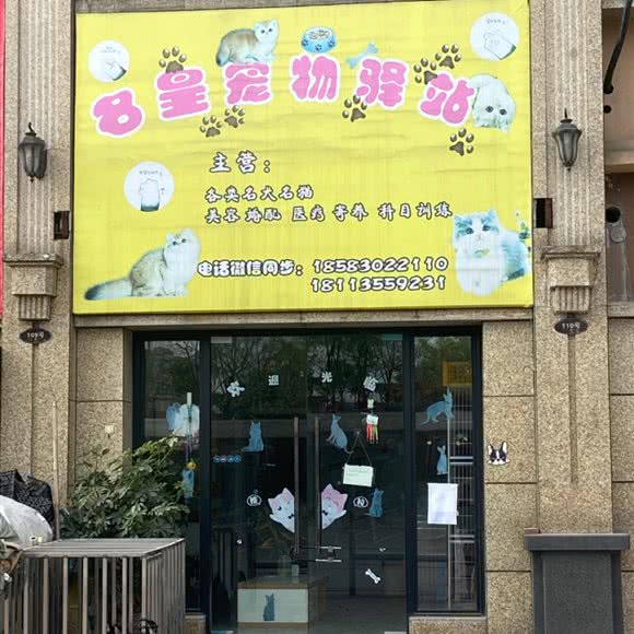 名皇宠物驿站:泸州市江阳区