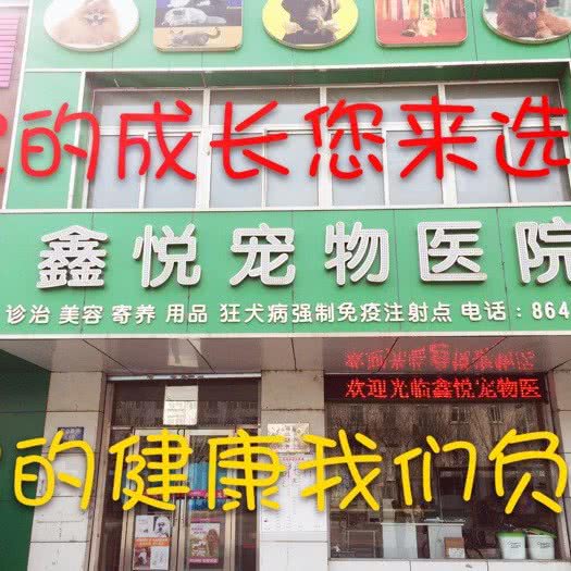 鑫悦宠物医院:沈阳市皇姑区小白楼附近