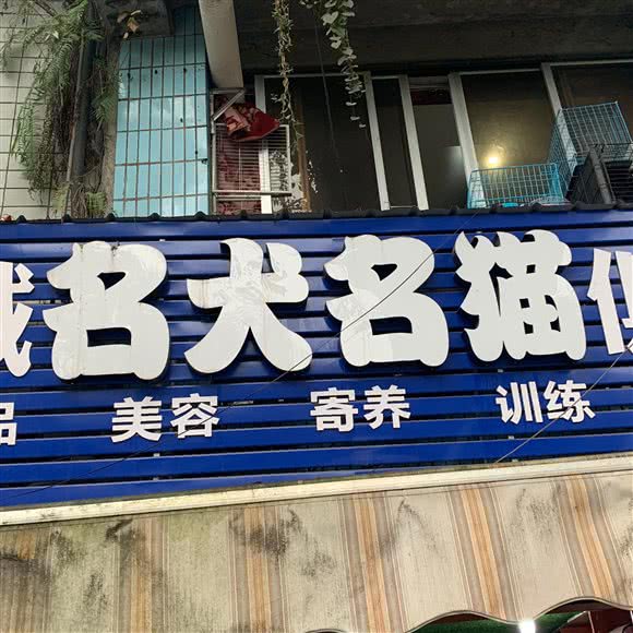 泸州酒城名犬名猫俱乐部:泸州市江阳区