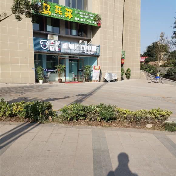 圣宠欣旺动物诊疗中心:泸州市江阳区