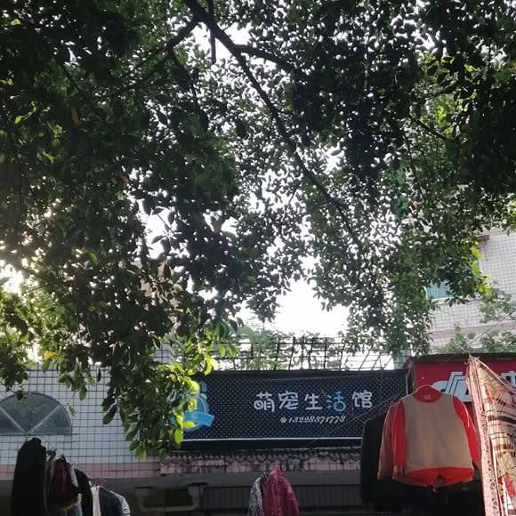 萌宠生活馆:泸州市龙马潭区