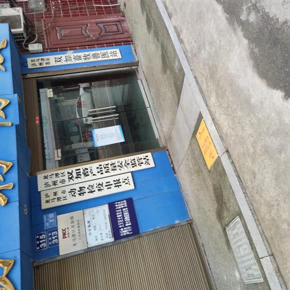 泸州市龙马潭区动物检疫申报点(双加动物卫生监督执法中队西):泸州市龙马潭区