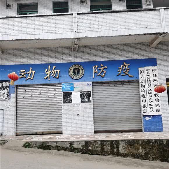 泸县潮河畜牧兽医站:泸州市泸县